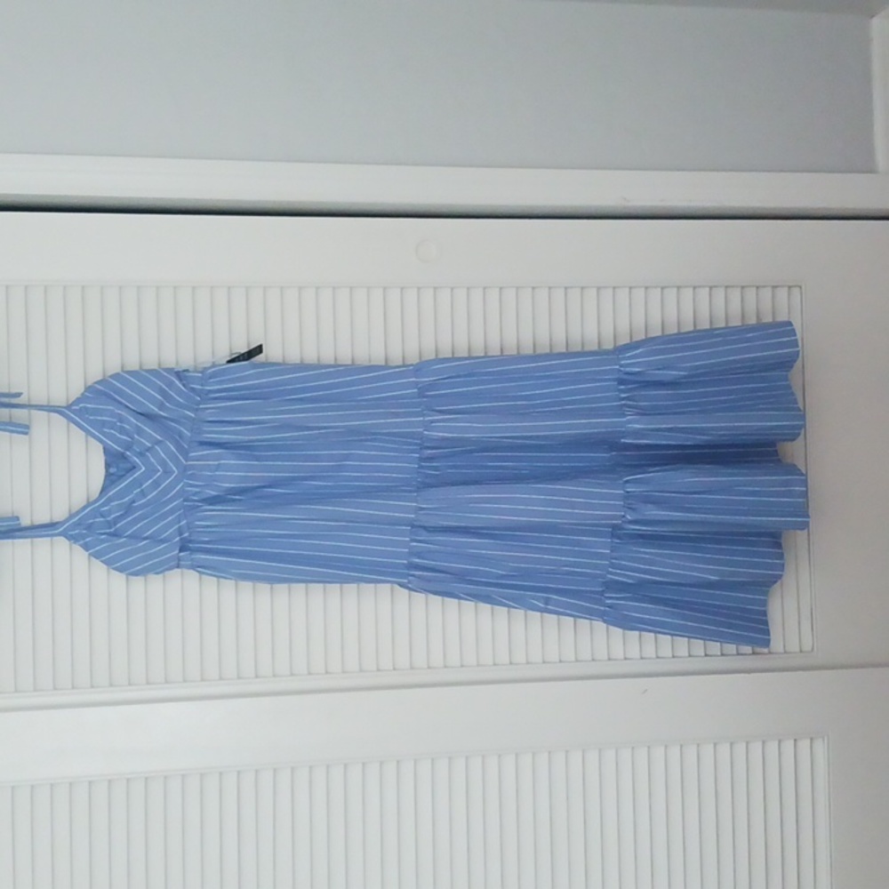 Express Spring Dress